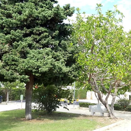 Apartment Calle Isla Menorca S Orihuela
